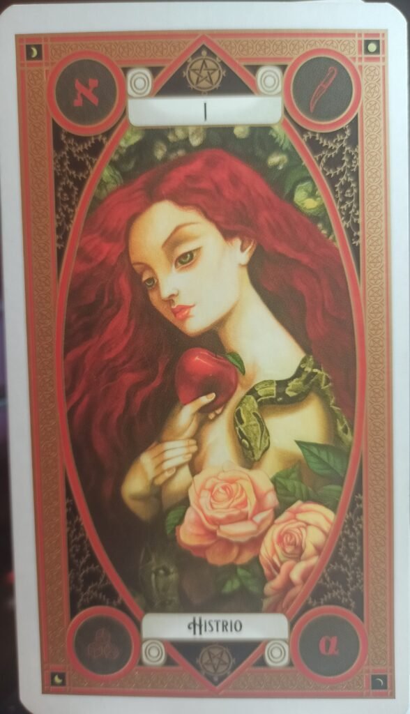 La maga deja que todo tu potencial salga a la luz,